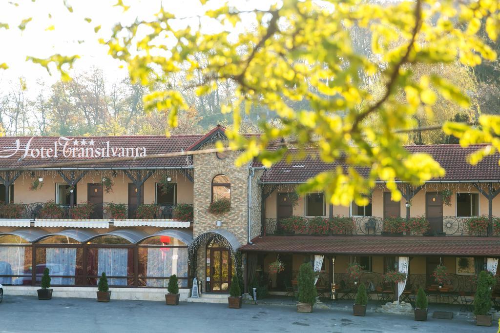 סיגישוארה Hotel Transilvania מראה חיצוני תמונה